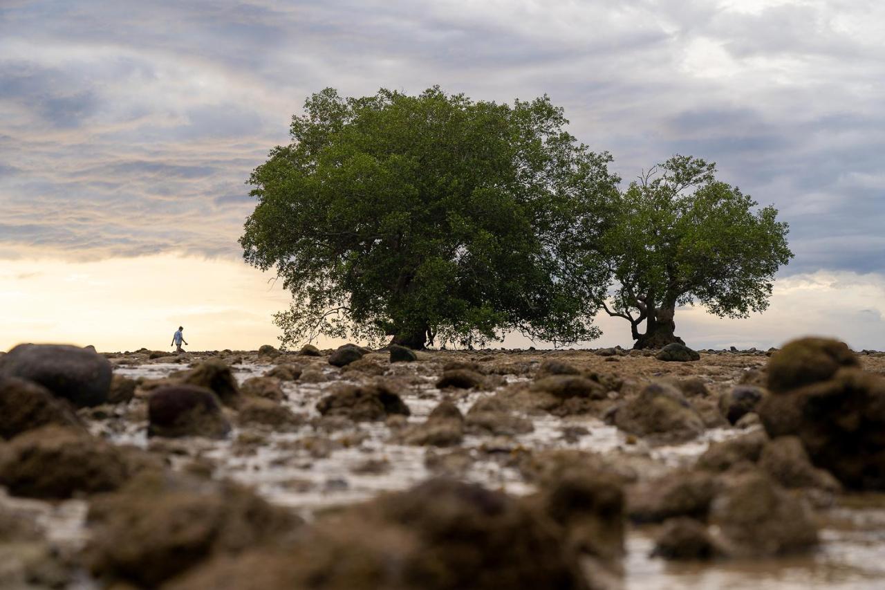 Anodard Phuket, Nai Yang Beach Thalang Zewnętrze zdjęcie